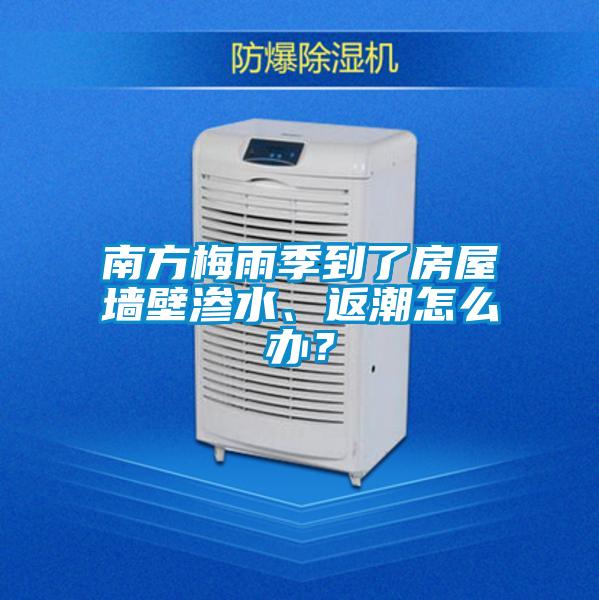 南方梅雨季到了房屋墙壁渗水、返潮怎么办？