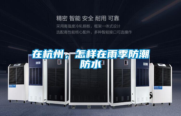 在杭州，怎样在雨季防潮防水