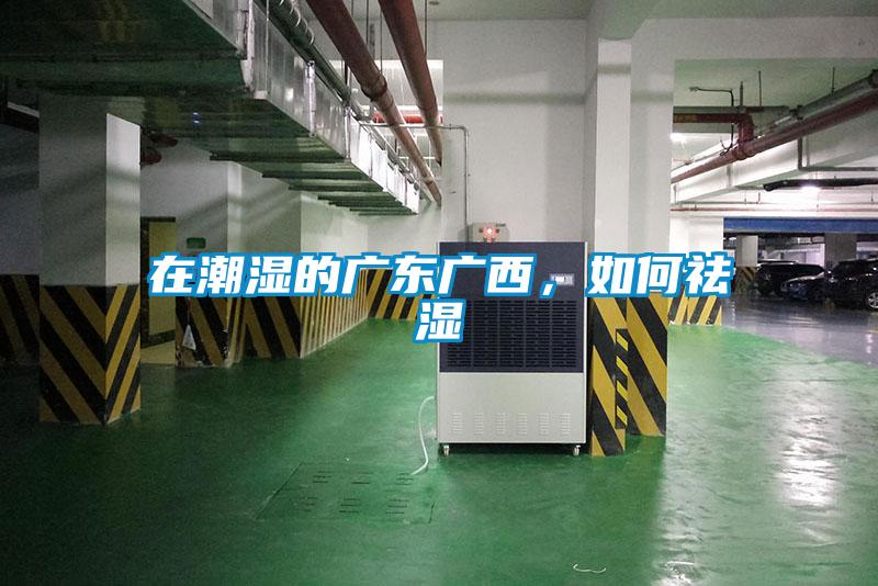 在潮湿的广东广西，如何祛湿