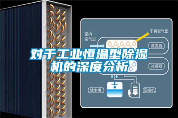 对于工业恒温型好色先生污污版的深度分析