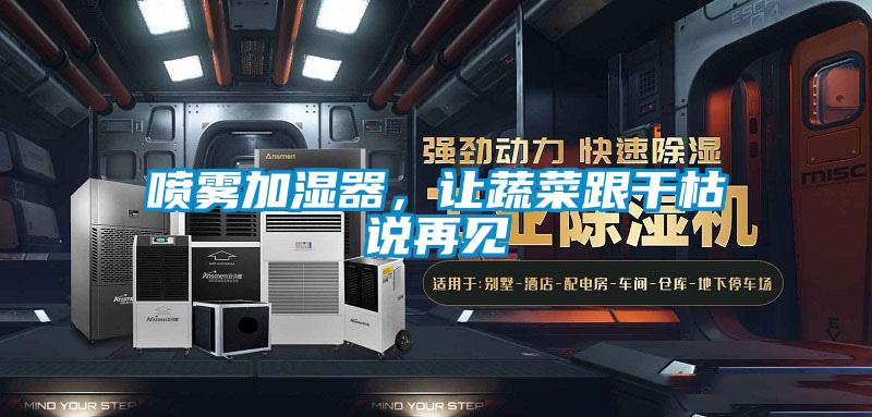 喷雾加湿器，让蔬菜跟干枯说再见