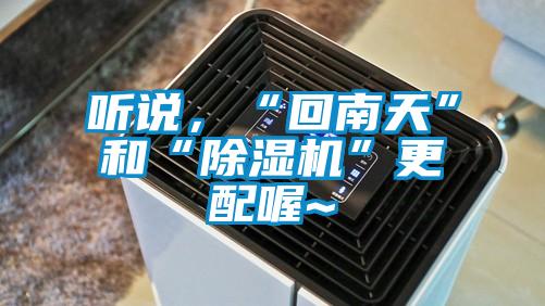 听说，“回南天”和“好色先生污污版”更配喔~