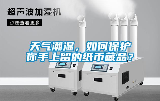 天气潮湿，如何保护你手上留的纸币藏品？