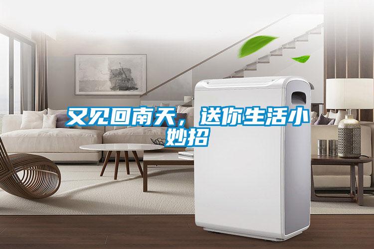 又见回南天，送你生活小妙招