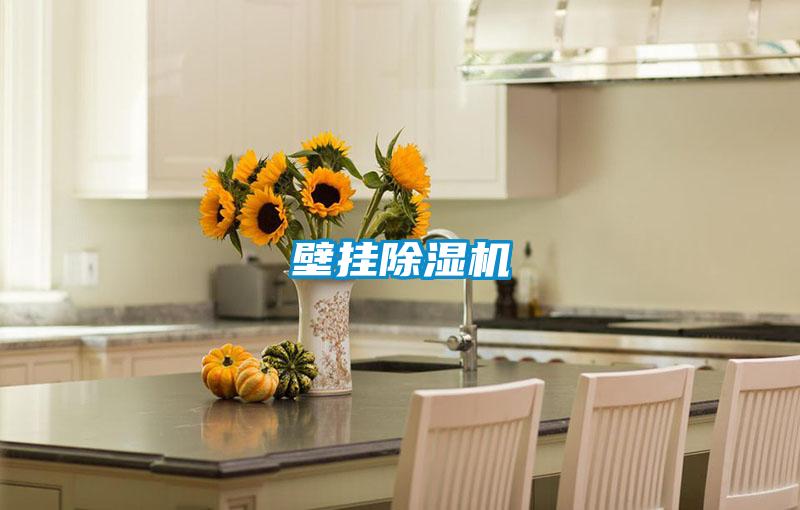 壁挂好色先生污污版