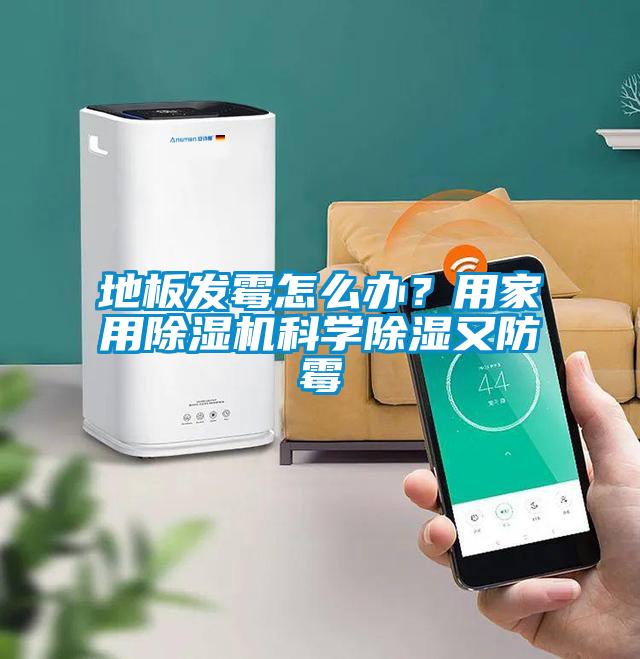 地板发霉怎么办？用家用好色先生污污版科学除湿又防霉