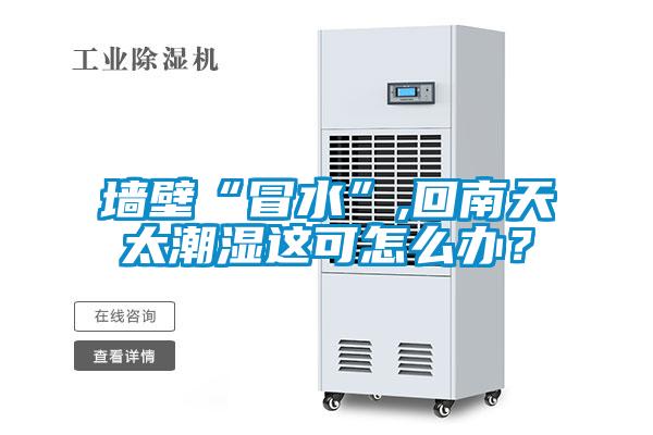 墙壁“冒水”,回南天太潮湿这可怎么办？