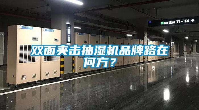 双面夹击抽湿机品牌路在何方？