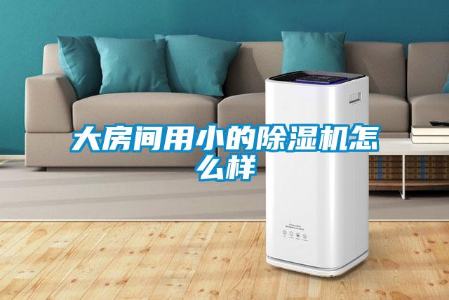 大房间用小的好色先生污污版怎么样