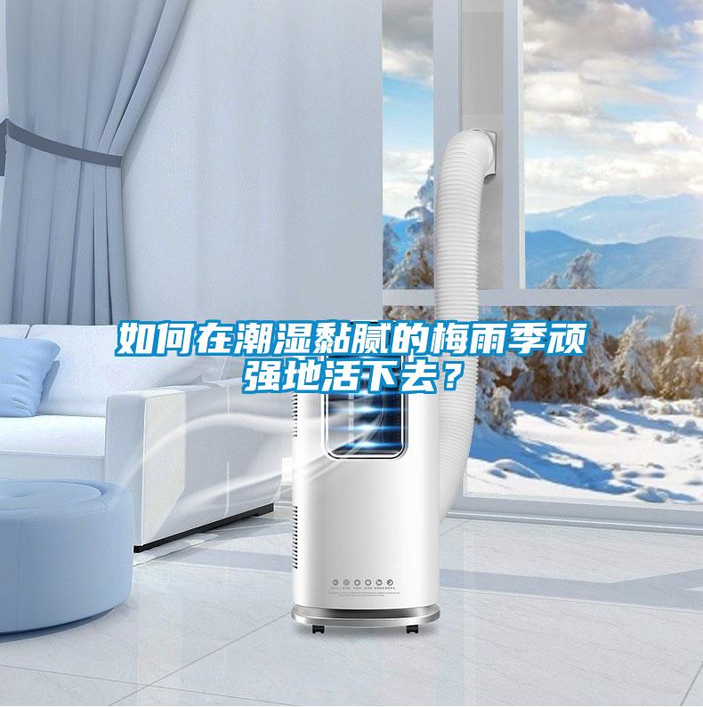 如何在潮湿黏腻的梅雨季顽强地活下去？