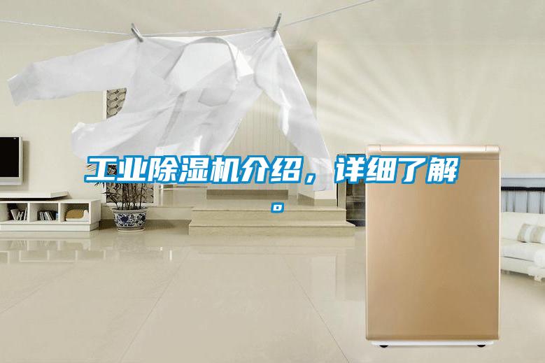 工业好色先生污污版介绍，详细了解。