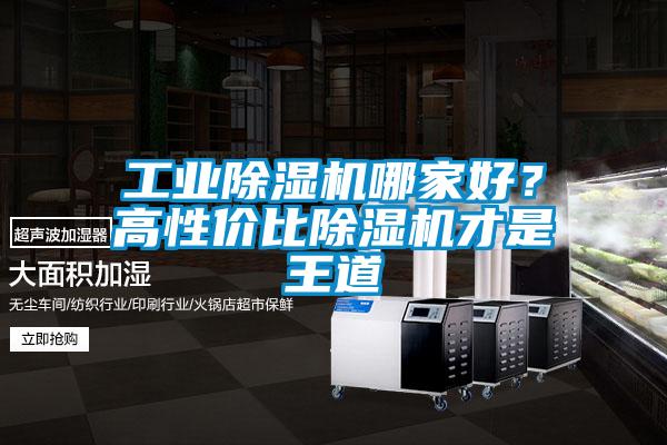 工业好色先生污污版哪家好？高性价比好色先生污污版才是王道