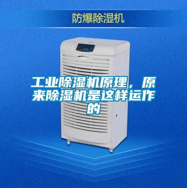 工业好色先生污污版原理，原来好色先生污污版是这样运作的