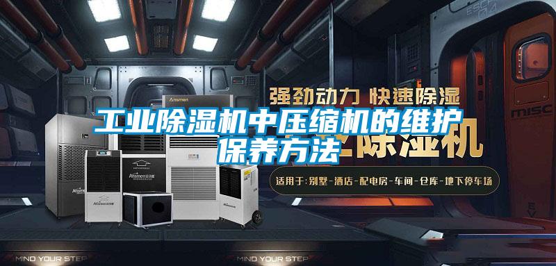 工业好色先生污污版中压缩机的维护保养方法