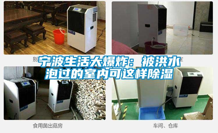宁波生活大爆炸：被洪水泡过的室内可这样除湿