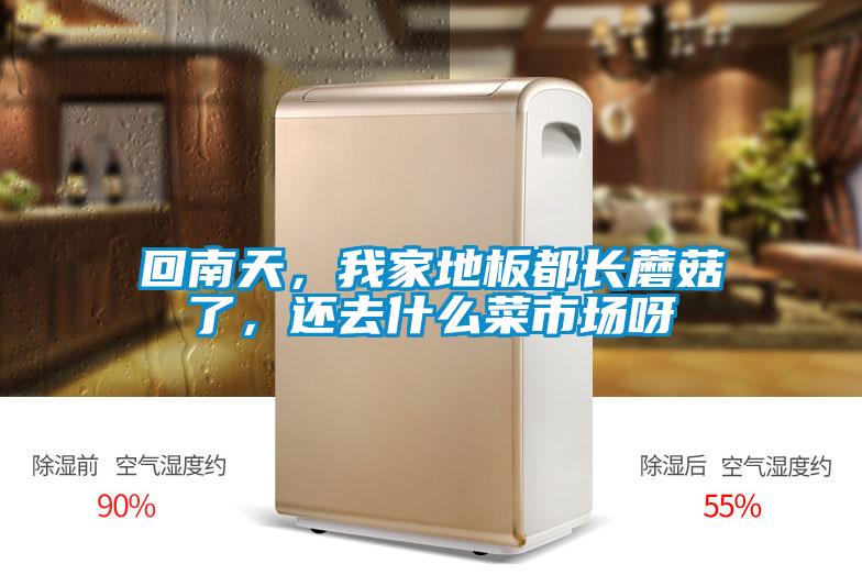 回南天，我家地板都长蘑菇了，还去什么菜市场呀