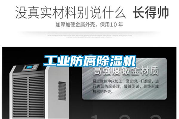 工业防腐好色先生污污版