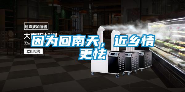 因为回南天，近乡情更怯