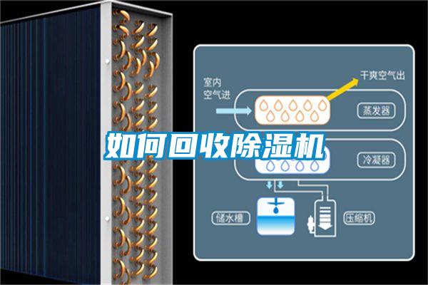 如何回收好色先生污污版