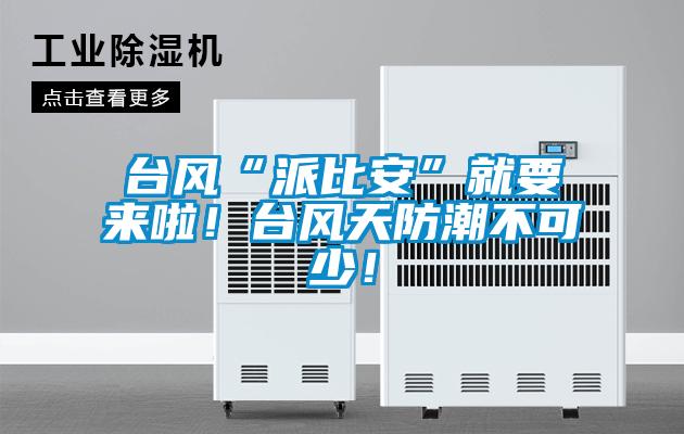 台风“派比安”就要来啦！台风天防潮不可少！