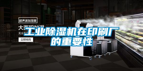 工业好色先生污污版在印刷厂的重要性