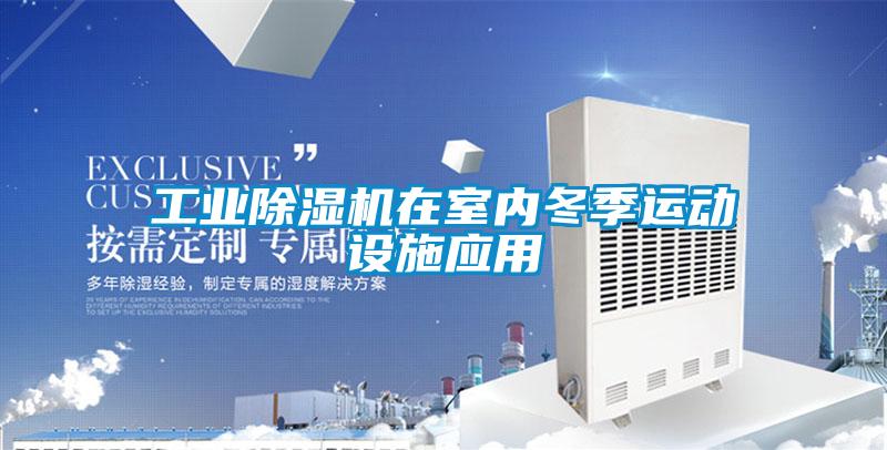 工业好色先生污污版在室内冬季运动设施应用