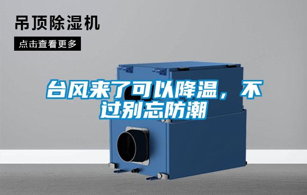 台风来了可以降温，不过别忘防潮