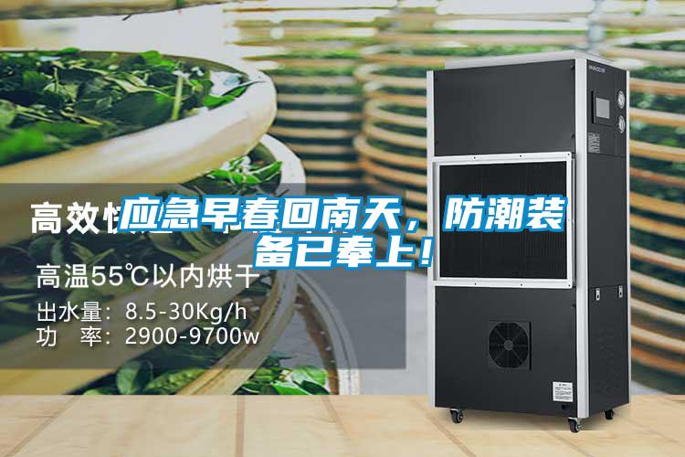 应急早春回南天，防潮装备已奉上！