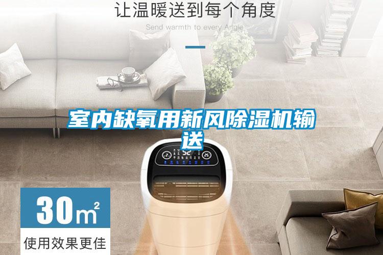 室内缺氧用新风好色先生污污版输送