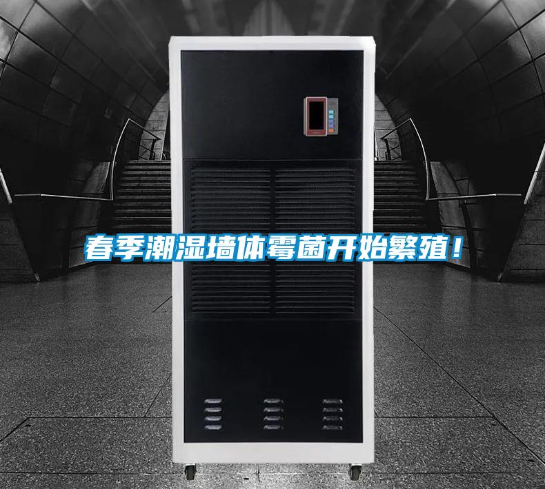 春季潮湿墙体霉菌开始繁殖！