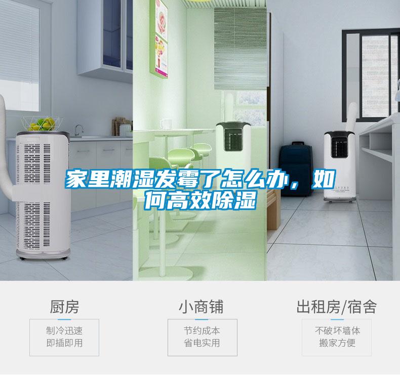 家里潮湿发霉了怎么办，如何高效除湿