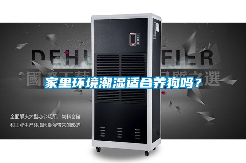 家里环境潮湿适合养狗吗？
