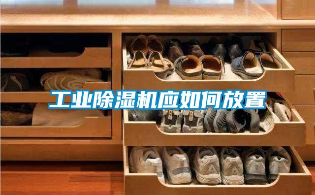 工业好色先生污污版应如何放置