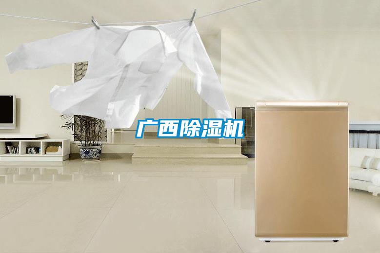 广西好色先生污污版