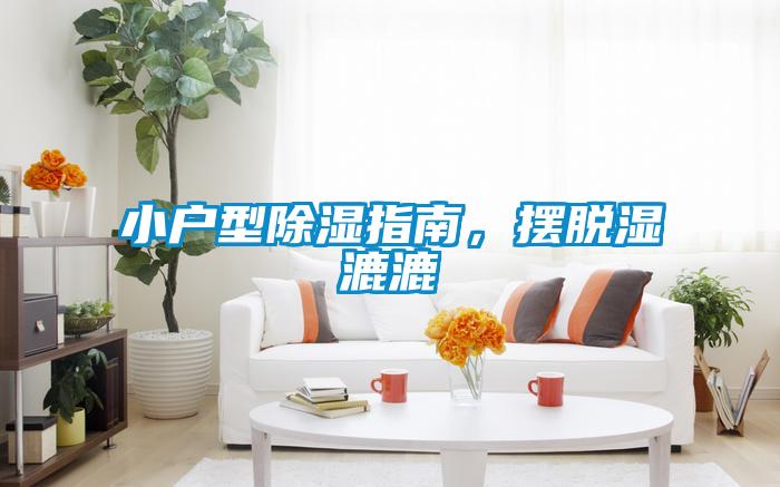 小户型除湿指南，摆脱湿漉漉