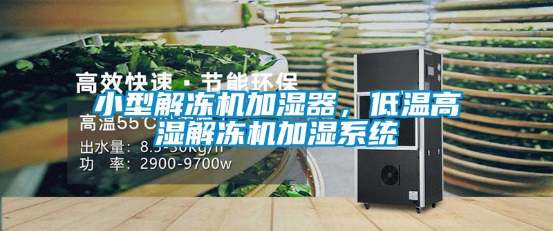 小型解冻机加湿器，低温高湿解冻机加湿系统