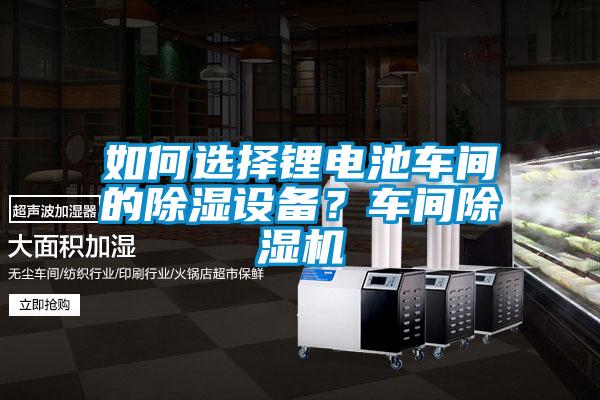 如何选择锂电池车间的除湿设备？车间好色先生污污版