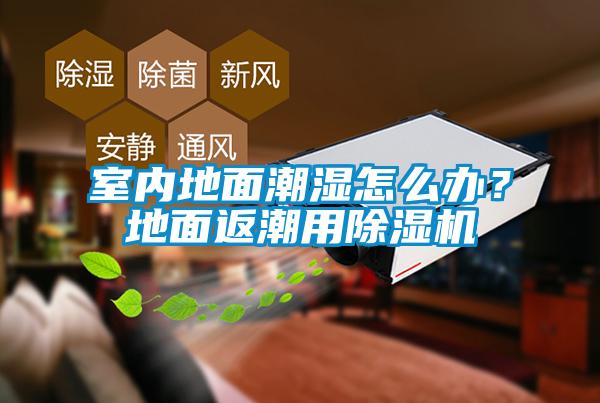 室内地面潮湿怎么办？地面返潮用好色先生污污版