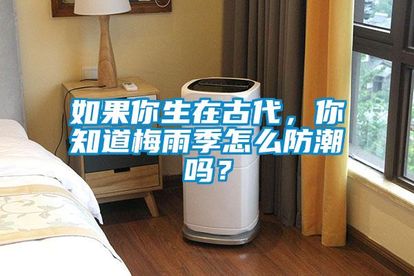 如果你生在古代，你知道梅雨季怎么防潮吗？