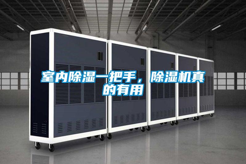室内除湿一把手，好色先生污污版真的有用
