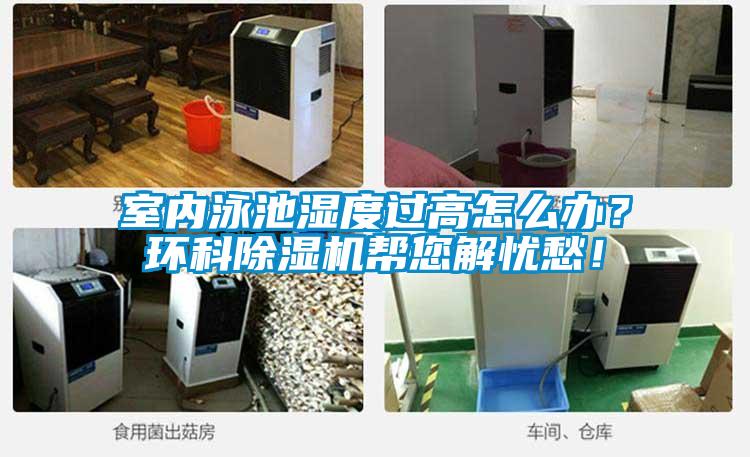 室内泳池湿度过高怎么办？环科好色先生污污版帮您解忧愁！