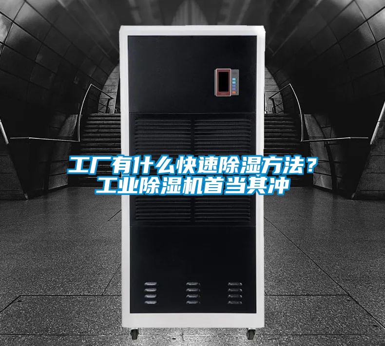 工厂有什么快速除湿方法？工业好色先生污污版首当其冲