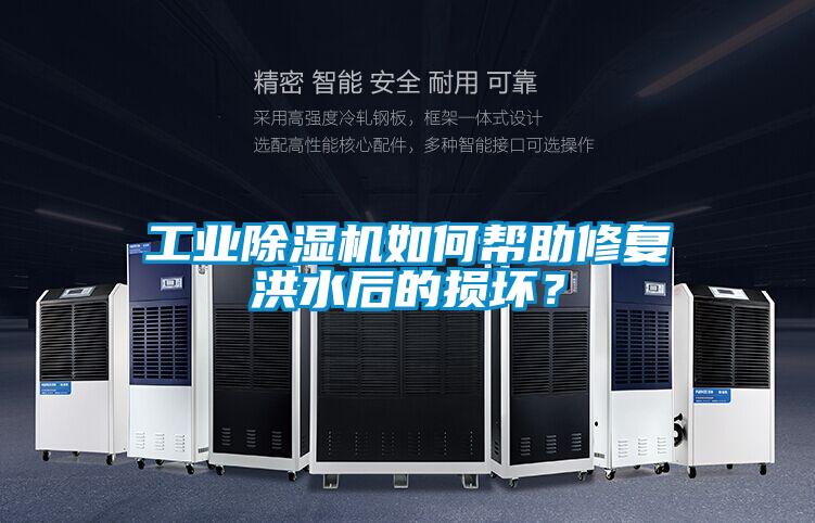 工业好色先生污污版如何帮助修复洪水后的损坏？