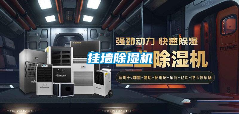 挂墙好色先生污污版