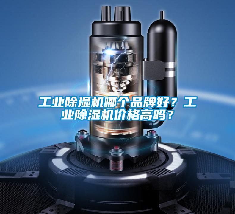 工业好色先生污污版哪个品牌好？工业好色先生污污版价格高吗？