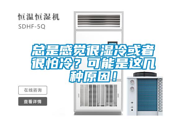 总是感觉很湿冷或者很怕冷？可能是这几种原因！