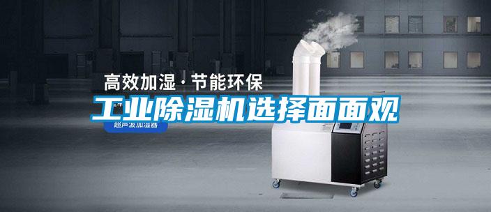 工业好色先生污污版选择面面观