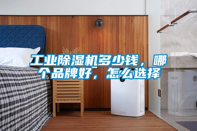 工业好色先生污污版多少钱，哪个品牌好，怎么选择