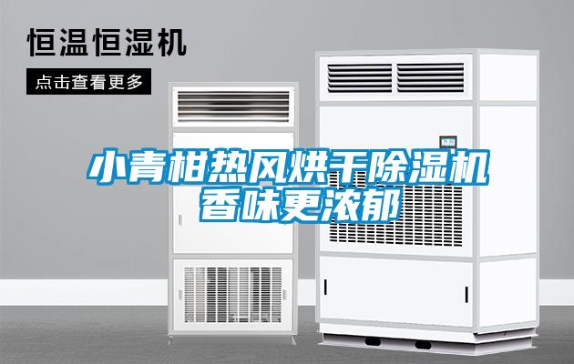 小青柑热风烘干好色先生污污版 香味更浓郁