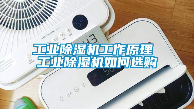 工业好色先生污污版工作原理 工业好色先生污污版如何选购